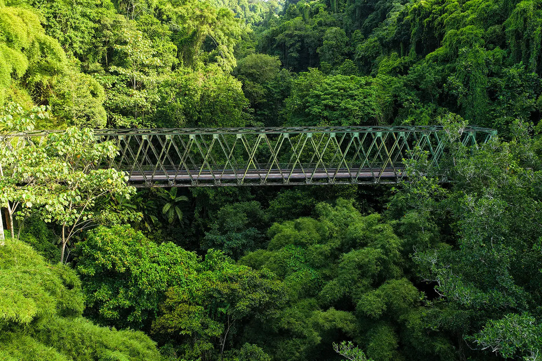 Le Pont de Grand'Rivière