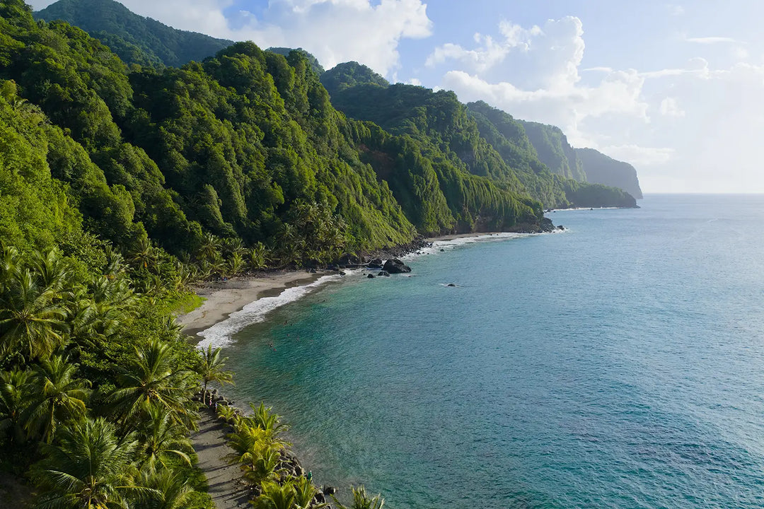 Les Falaises de Grand'Rivière