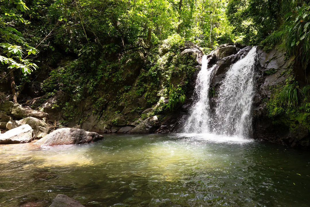 La Cascade de Didier