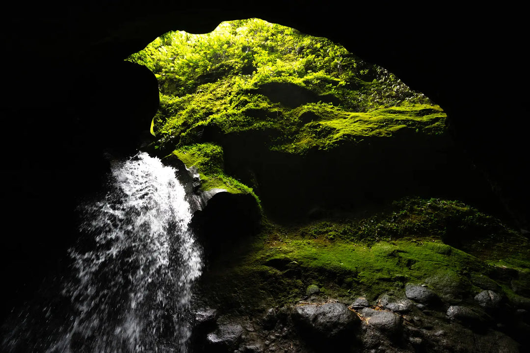 Les Gorges de la Falaise I