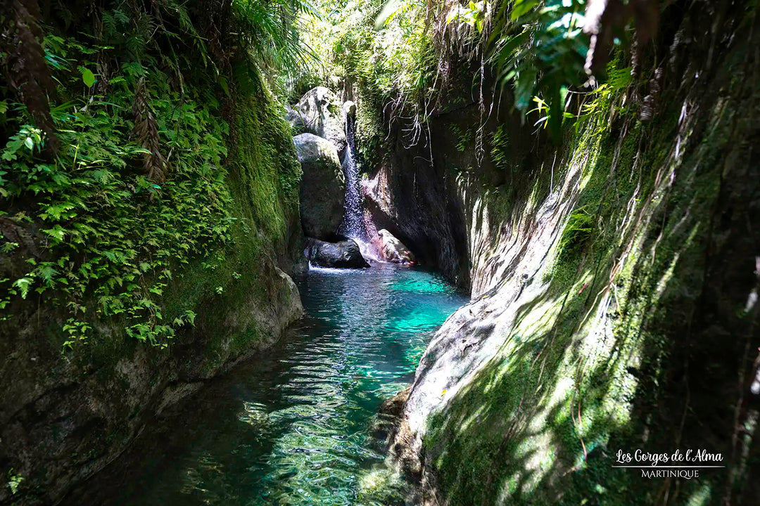 Les Gorges de l'Alma