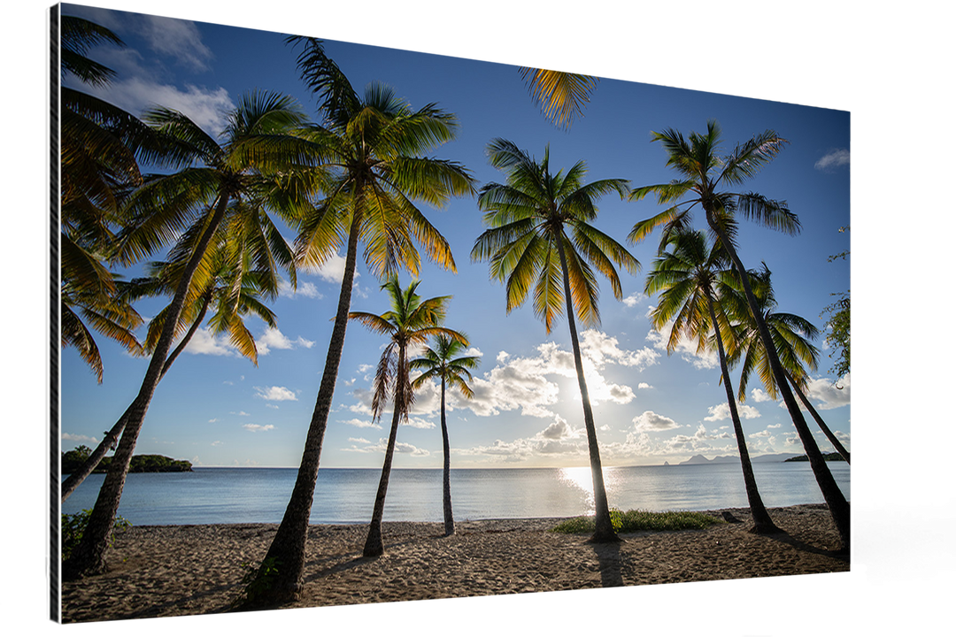 Les Salines au Soleil de Platine