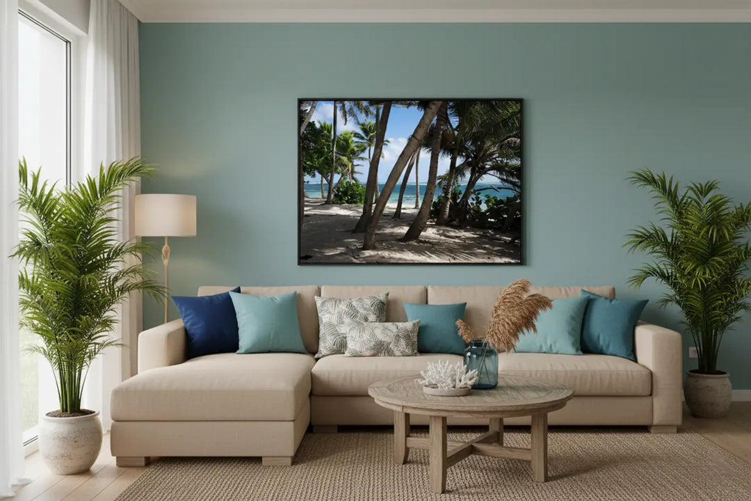 Anse Charpentier, a wild beach